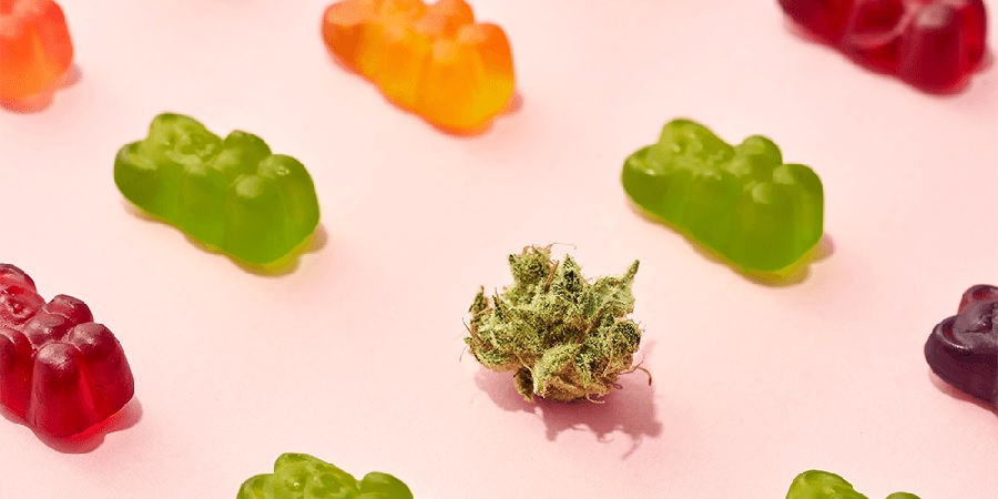 What Are the Top Flavors of Cannabis Gummies in the Delta 9 Collection?
