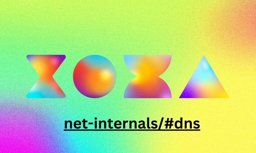 net-internals#dns